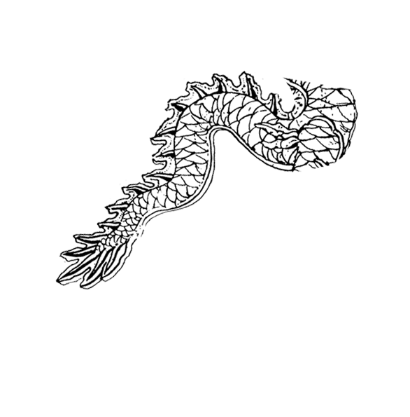 South Node (Ketu) — dragon tail symbolizing past karma